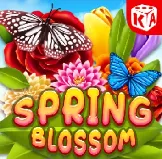 Springblossom на Kosmolot